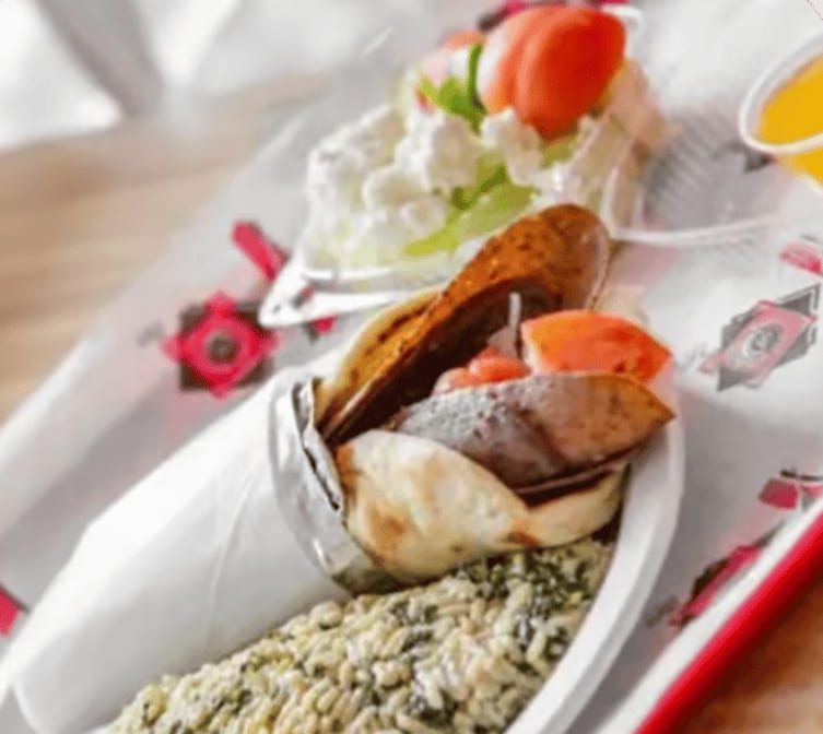 Gyro Plate.